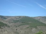 DSC01628.JPG