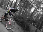 P1020087fondo.jpg