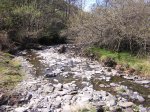 DSCN6697.jpg