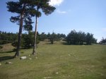 Foto9.JPG