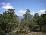 Foto10.JPG