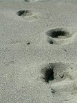 Formentera 09 (13).jpg