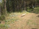 La Diferent  5-4-2009 026.jpg