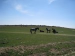 IMG_5963_resize.jpg
