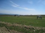 IMG_5964_resize.jpg