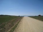 IMG_5967_resize.jpg