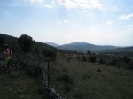 IMG_5994_resize.jpg