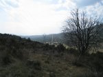 IMG_6004_resize.jpg