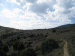 IMG_6008_resize.jpg