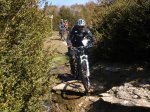 DSC00308.jpg