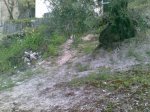 Imagen168.jpg
