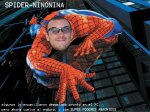 SPIDER-NINONINA.jpg