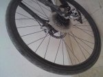 DSC00090.jpg