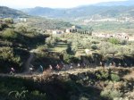 Aflecho 2009_Termi_01.jpg