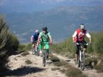Aflecho 2009_Termi_09.jpg