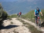 Aflecho 2009_Termi_11.jpg