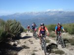 Aflecho 2009_Termi_13.jpg