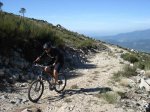 Aflecho 2009_Termi_21.jpg