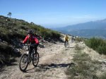 Aflecho 2009_Termi_23.jpg