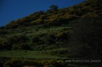 DSC_2453.jpg