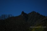 DSC_2462.jpg