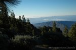 DSC_2385.jpg