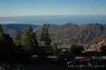 DSC_2386.jpg