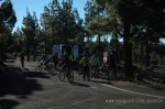 DSC_2394.jpg