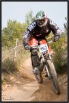 IMG_2918 copia.jpg