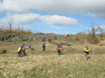 IMG_1747.gif