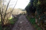DSC03171.jpg