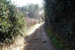 DSC03172.jpg