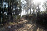 DSC03173.jpg