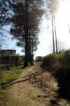 DSC03174.jpg