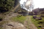 DSC03175.jpg
