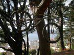 DSCN5471.JPG