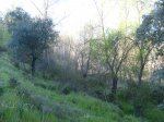 S6300504.jpg