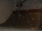DSC01995.jpg