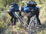 Ruta 12.Bodegas 24 (22).JPG