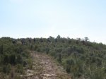 Ruta 12.Bodegas 24 (45).JPG