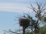 060409mtb 017.jpg