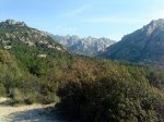 DSC00036.jpg