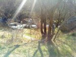 DSC00038.jpg