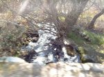 DSC00039.jpg