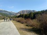 DSC00040.jpg