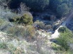 DSC00041.jpg