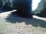DSC00042.jpg