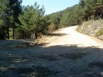DSC00045.jpg