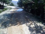 DSC00058.jpg