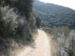 MTB CaÃ±Ã³n Guadalix 040409 014.JPG